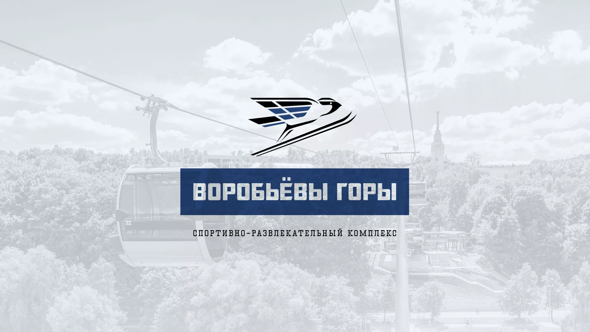 Разработка сайта в Артёме для спортивно-развлекательного комплекса «Воробьёвы горы»